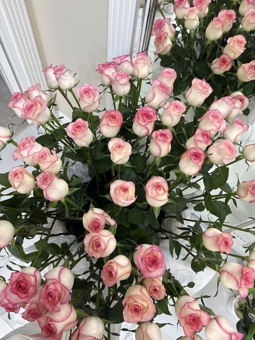 Свежие розы только привезли