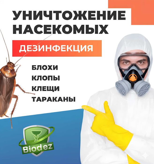 Дезинфекция — это свобода! Крысы, блохи, клещи, клопы, тараканы, мыши,