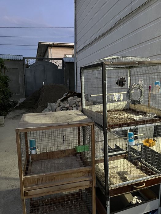 Птичья клетка