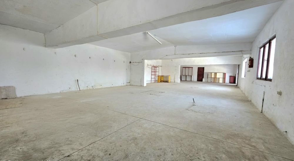 Spatii Hale 50 la 250mp zona Chimiei