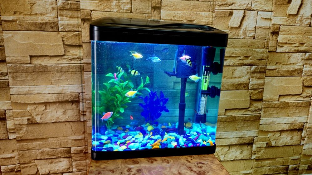 Аквариум баликлари билан сотилад 15 литри