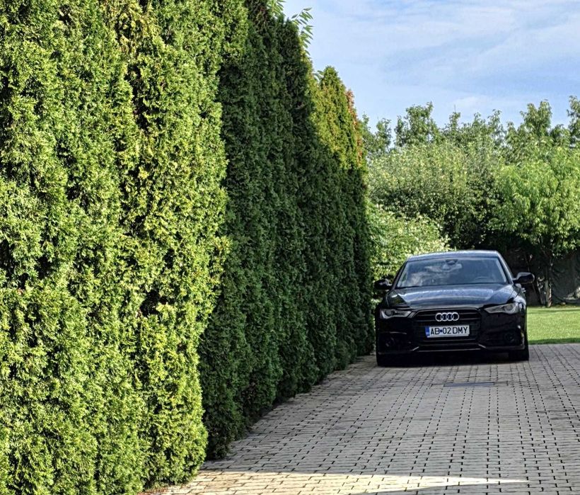 Audi A6 Limousine