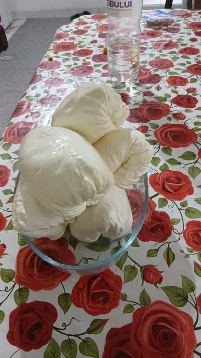 Casi și lapte și brânză de bivolita!