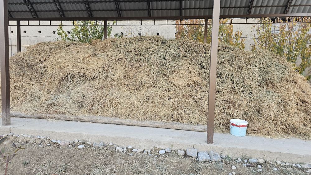 Шөп бар келісеміз