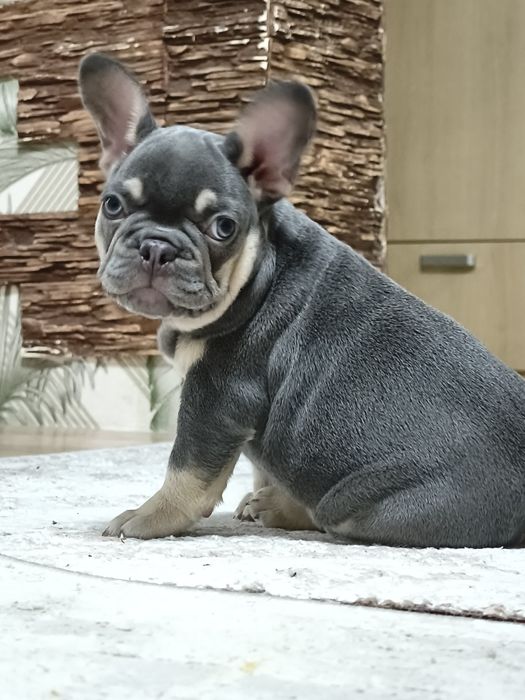 Очаровательная девочка