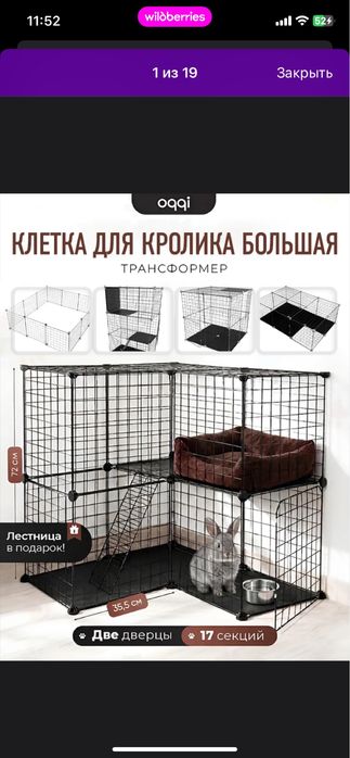 Дикоративный кролик