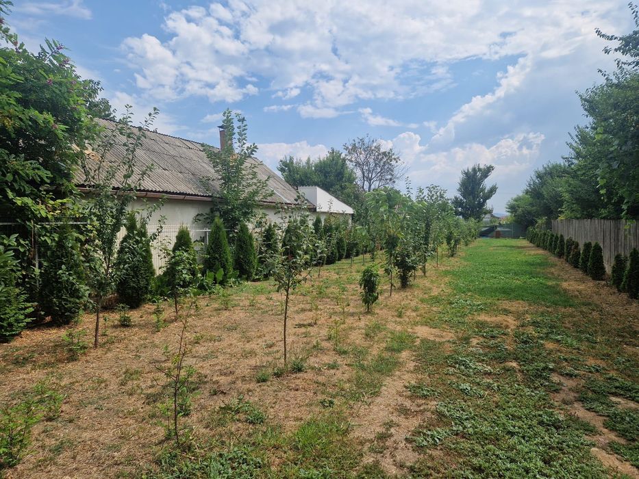 Teren de vanzare in Bacau/ Serbanesti , Calea Barladului