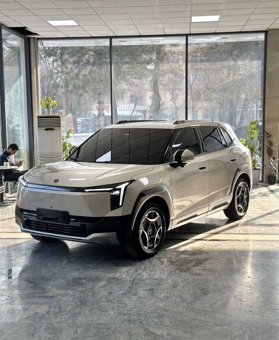 Dongfeng Nammi 06 2026