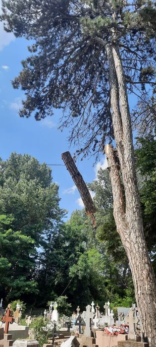 Alpinism utilitar