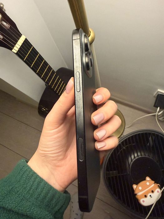 Iphone 16 Pro Max / 100% / Black / Cutie + Incarcator