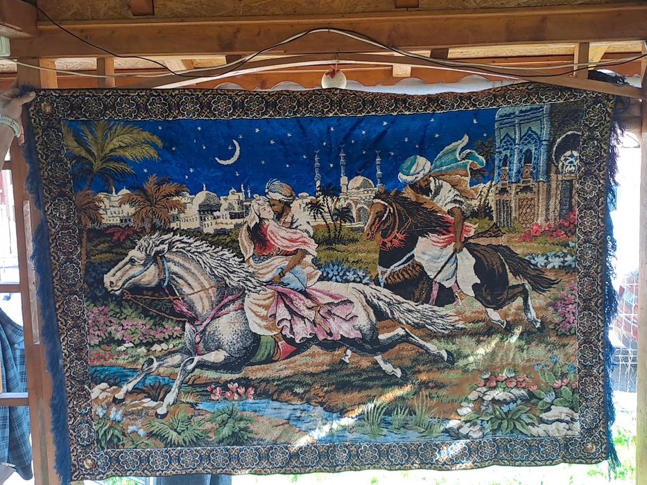 Carpeta,,Rapirea Din Serai"