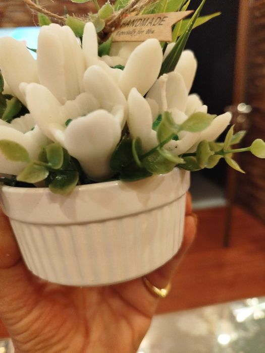 Ароматни кокичета