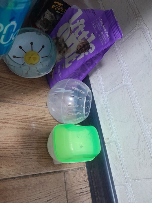 Продам хомяка вместе с клеткой, 3 мес