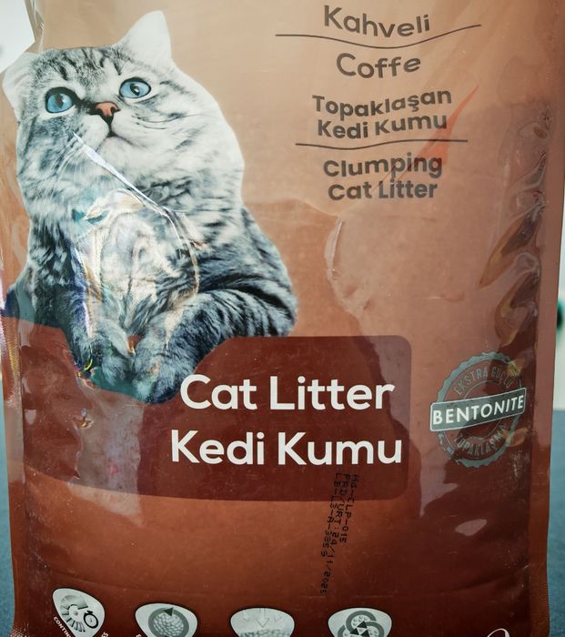 Așternut pentru pisici