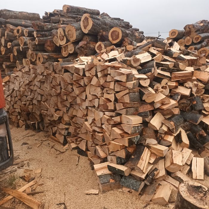 Lemne de foc fag capete uscate sau verzi 600.lei tona