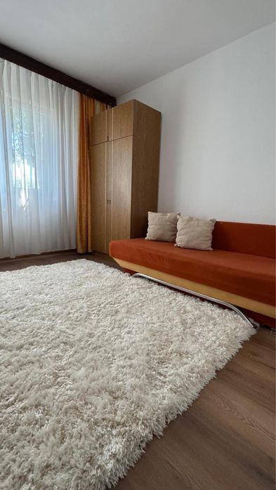 Garsoniera cocheta (camera camin) zona Calea Severinului- Propietar