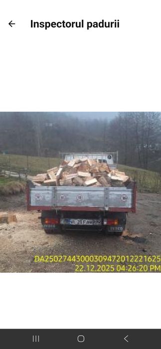 Lemn foc fag adus la domiciliu.