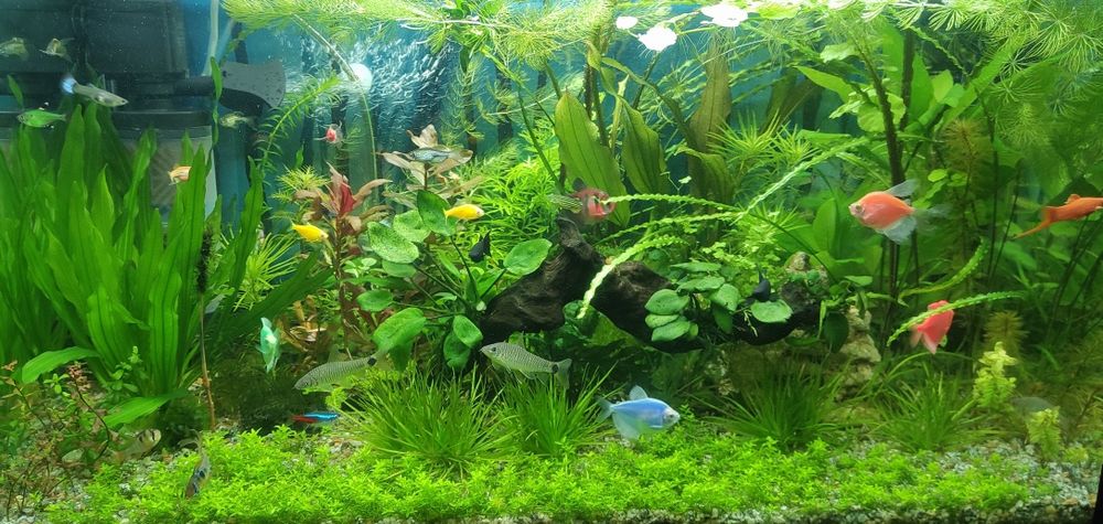 Продам три аквариума