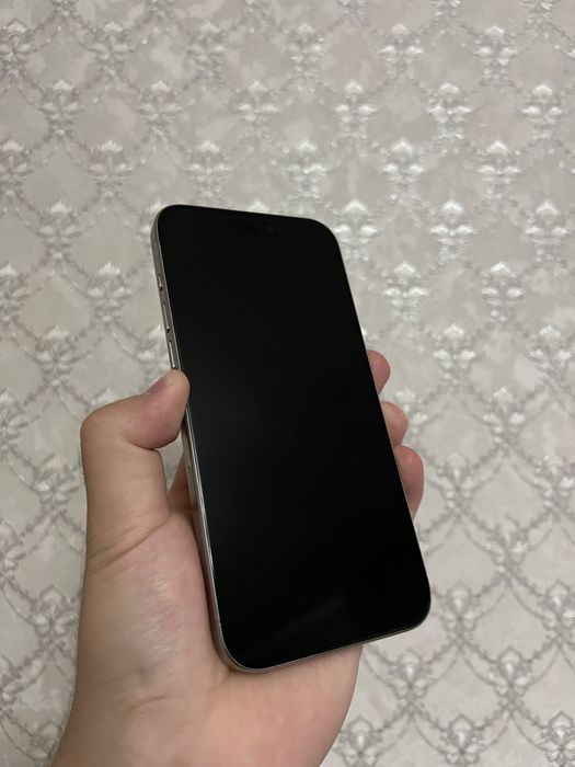 iPhone 15 pro max 1Tb