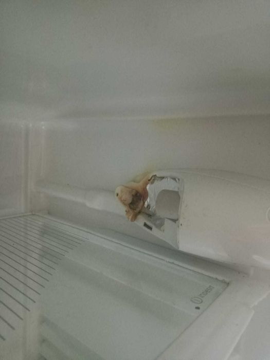 Продам на запчасти холодильник indesit.