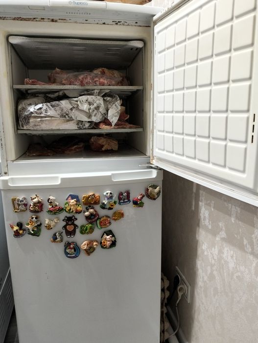 Холодильник Бирюса