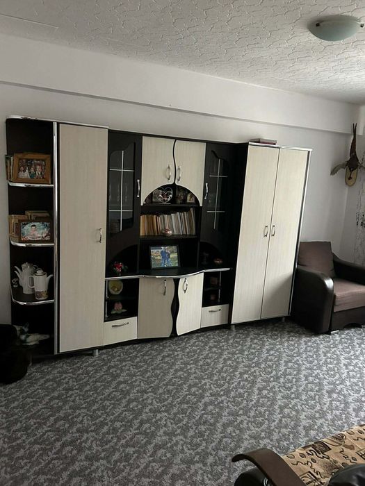 Ofer spre inchiriere apartament cu doua camere