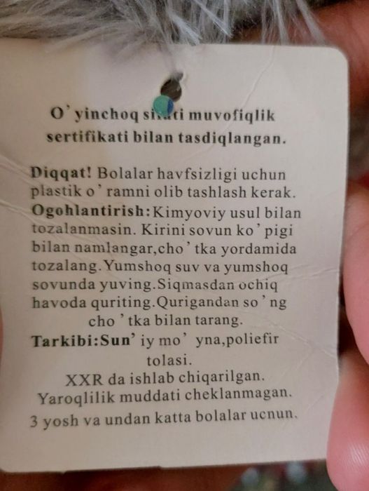 Teddiy ayiq xolati yang