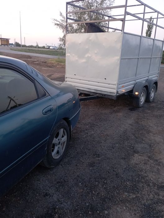 Перевозка скота 8777