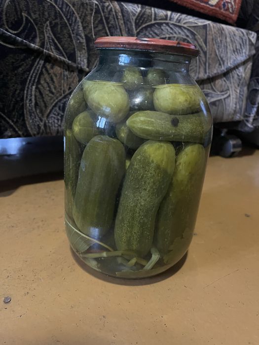 Продам домашние огурцы