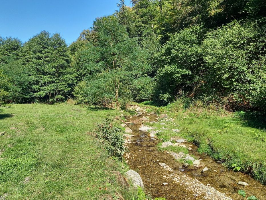 Teren de cabana pe Valea Recii( sat Strungari)