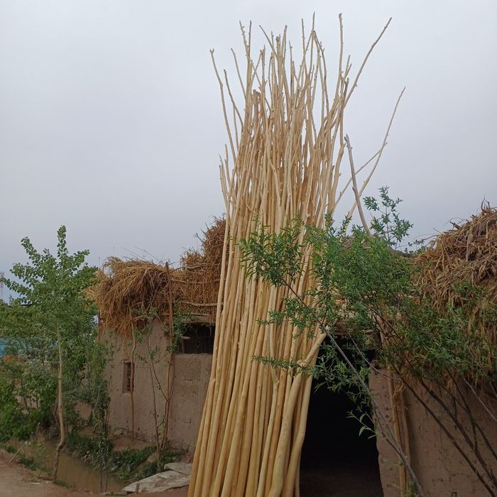 Qora tol Xada  kimda bor.