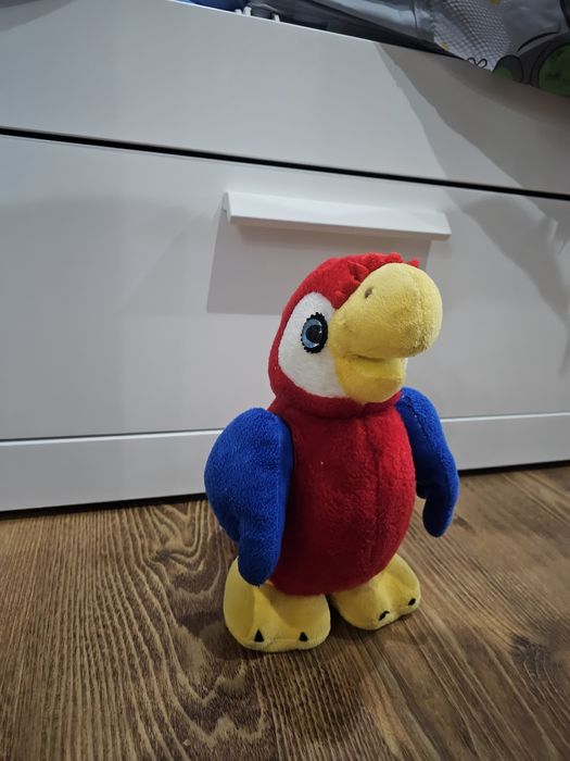 Paco papagalul care imita tot și ajuta copilul sa vorbeasca