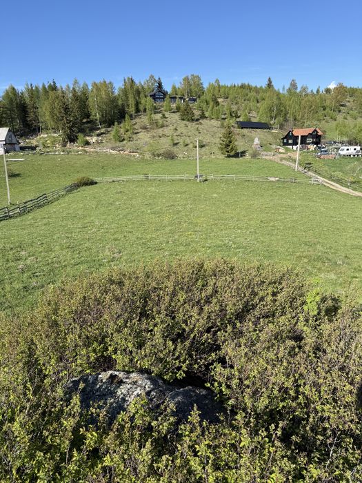 TEREN INTRAVILAN 6.000 MP | PRIVELIȘTE SUPERBĂ | ideal pentru cabane & investiții