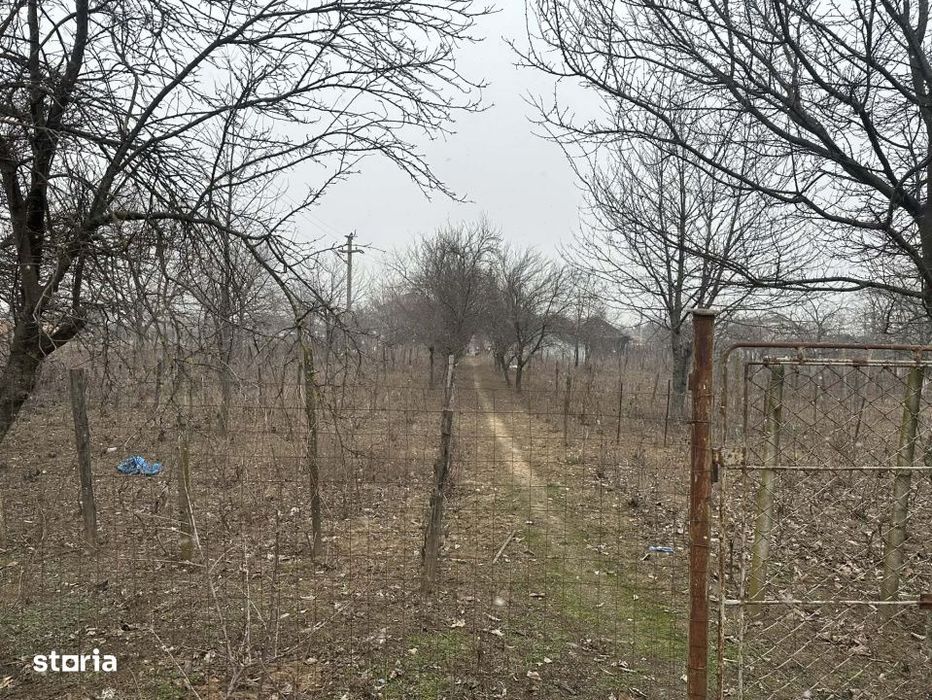 Teren intravilan, Cosoveni, 1200 mp, front 24m