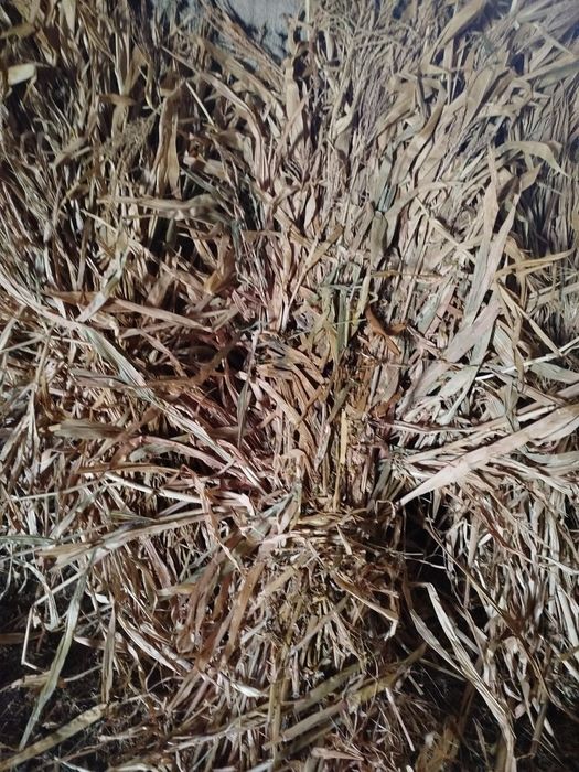 Мол  куелар  учун хашак Манзил Самарканд  Коттакурган