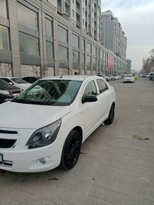 Cobalt mid night toza