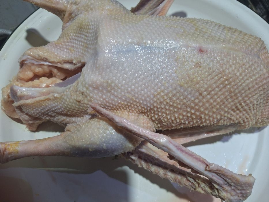 Продам тушки домашних гусей.