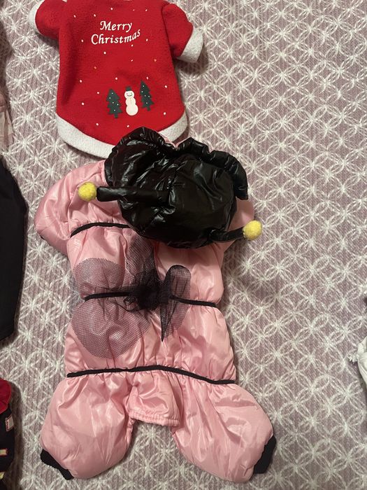 Одежда для собак мелких пород