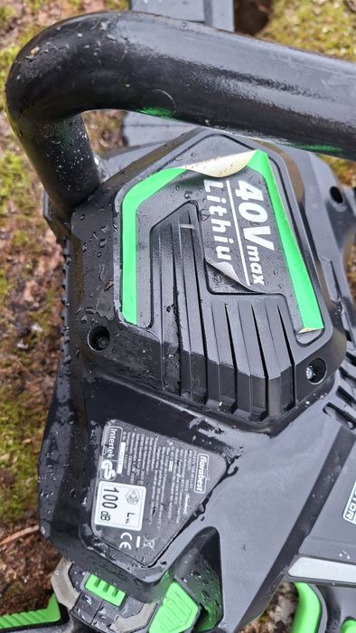 Drujba electrica cu acumulator Florabest