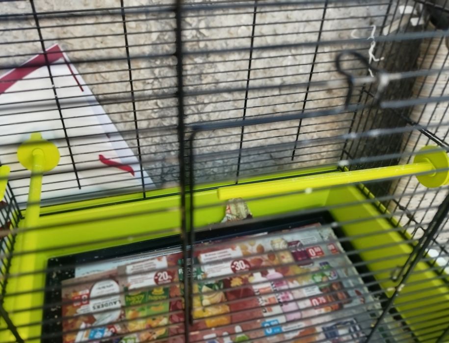 Продава се клетка за папагал