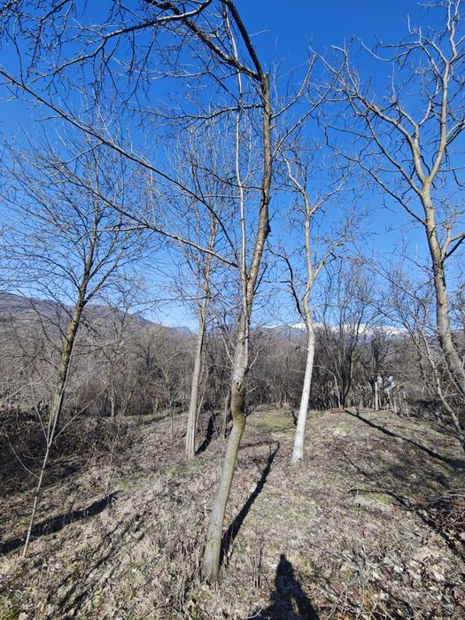 Vând teren Bărbătești - Vâlcea 6eur mp 2178mp