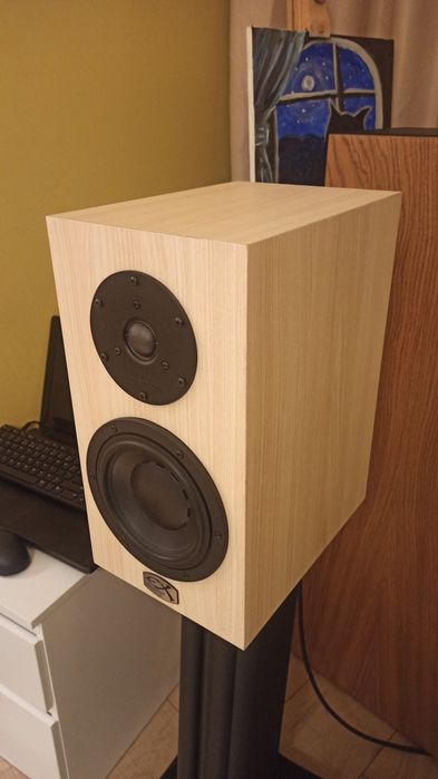 Exproject D2.1EX Swans HIVi Research DYNAUDIO + swans стойки