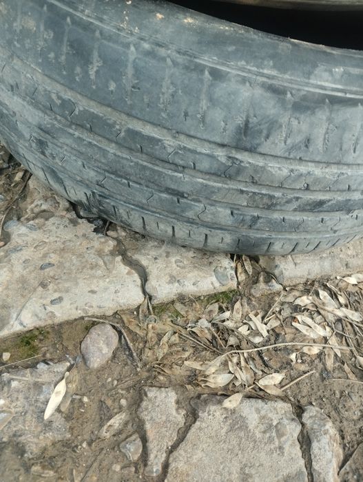 Все сезоне 205,60,16.комп