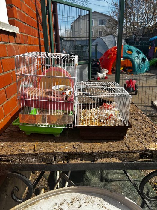 Клетка для хомяков и крыс