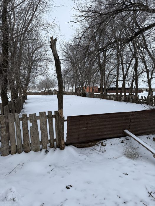 Продам ферму (фазенду)