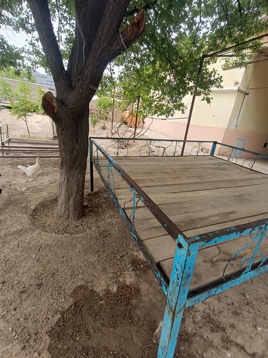 Тапчан Сарыағашта