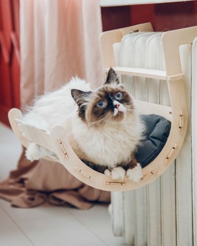 Гамак на батарею для кошек
