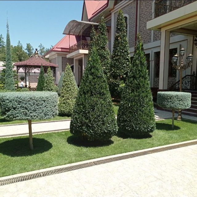 gazon.lanshaft.arch.kesish.xizmatlari.mavjut