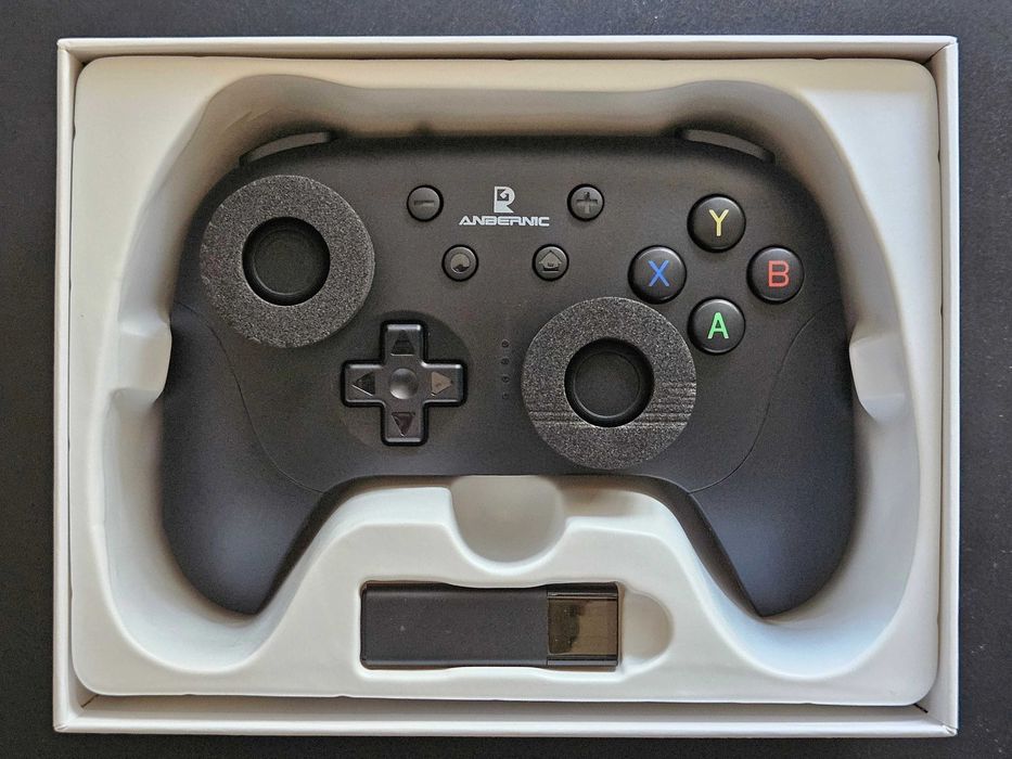 Controller Anbernic RG P01