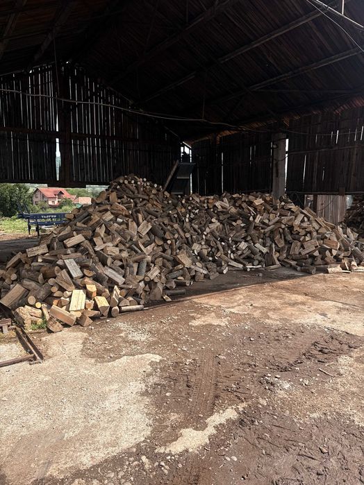 Lemn de foc esență tare – Bistrița și județul Bistrița-Năsăud